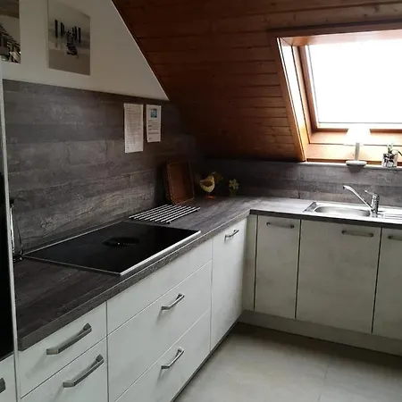 Baier Mit Balkon Und Schwedenofen Für Gemütliche Abende Am Kamin Apartamento Engen