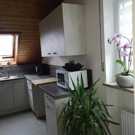 Baier Mit Balkon Und Schwedenofen Für Gemütliche Abende Am Kamin *